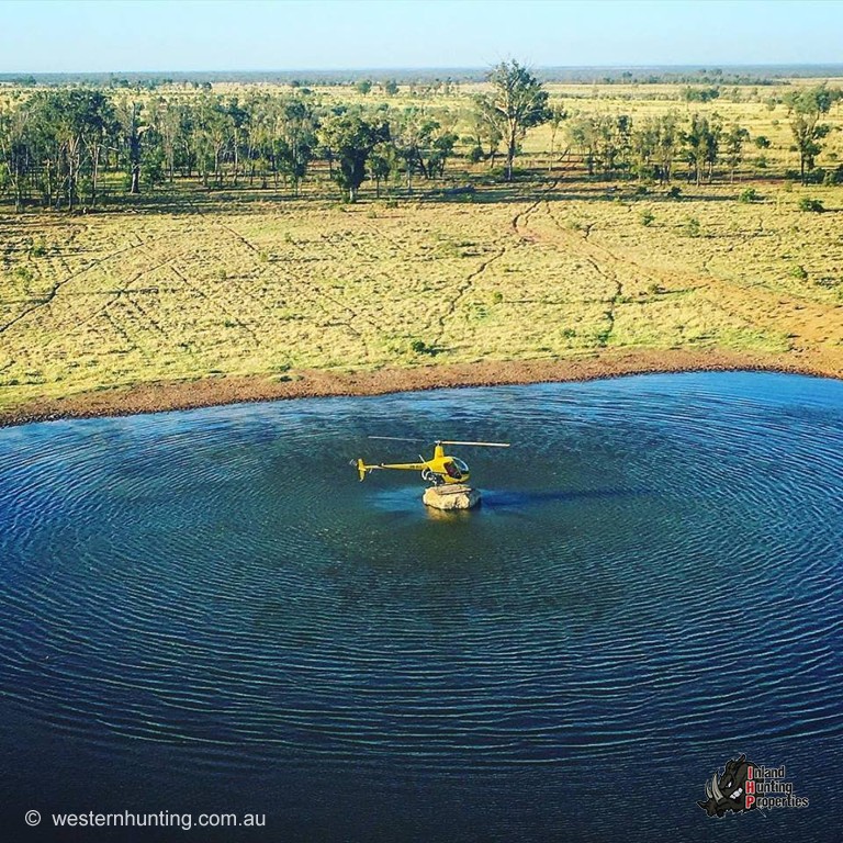 Rolleston Pig Hunting Property